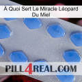 À Quoi Sert Le Miracle Léopard Du Miel 21